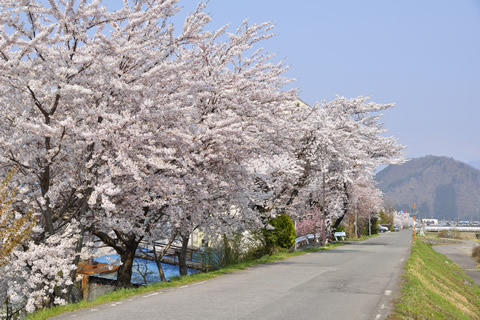 湯田中温泉